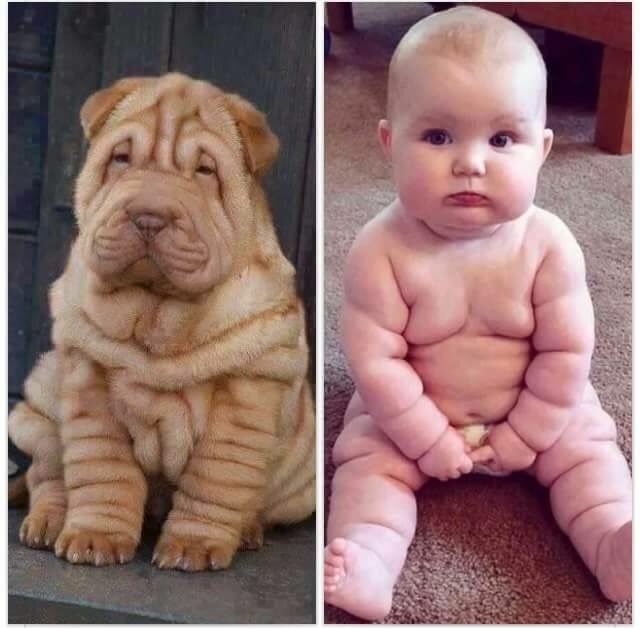 Name: ImageUploadedByTapatalk1442886741.678140.jpg
Views: 263
Size: 82.1 KB