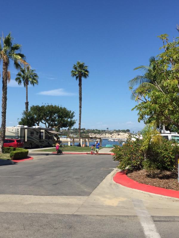 Name: ImageUploadedByTapatalk1443215394.768166.jpg
Views: 1037
Size: 73.3 KB