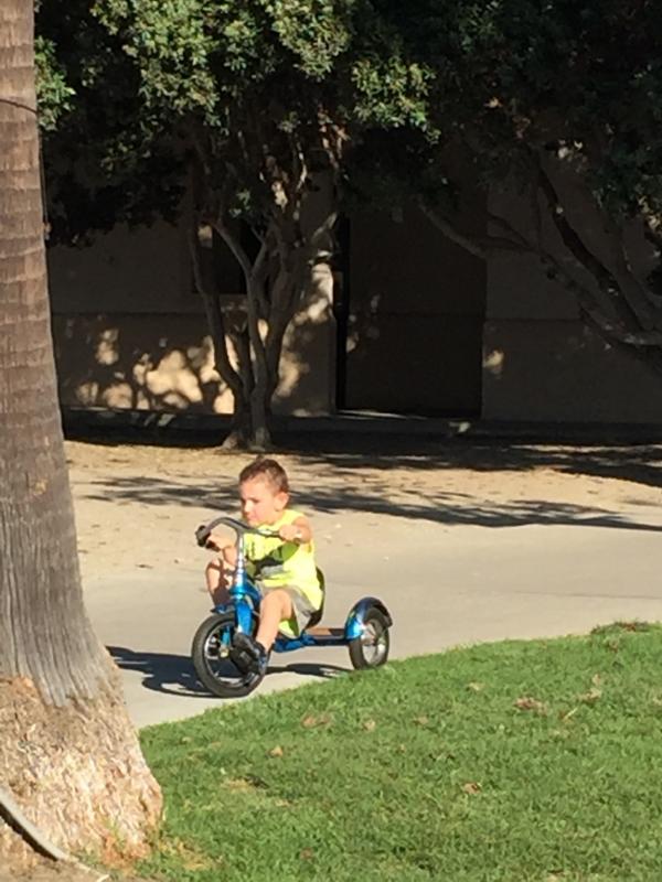 Name: ImageUploadedByTapatalk1443238428.487100.jpg
Views: 1032
Size: 70.6 KB