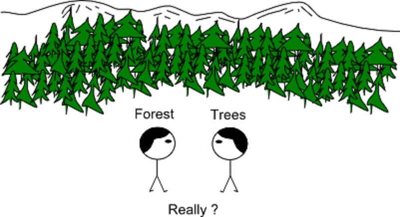 Name:  ExportForest_Trees.jpg
Views: 103
Size:  92.4 KB