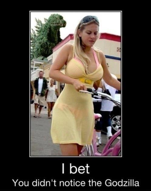Name:  shw7.jpg
Views: 142
Size:  34.2 KB