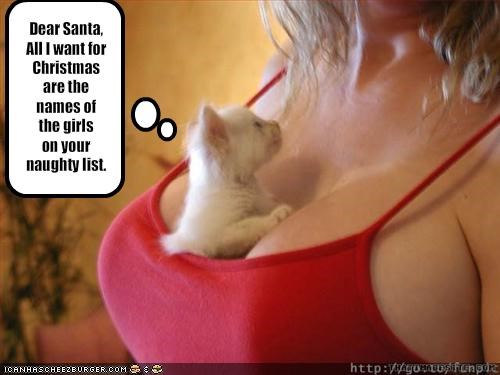 Name:  santa2.jpg
Views: 130
Size:  30.7 KB