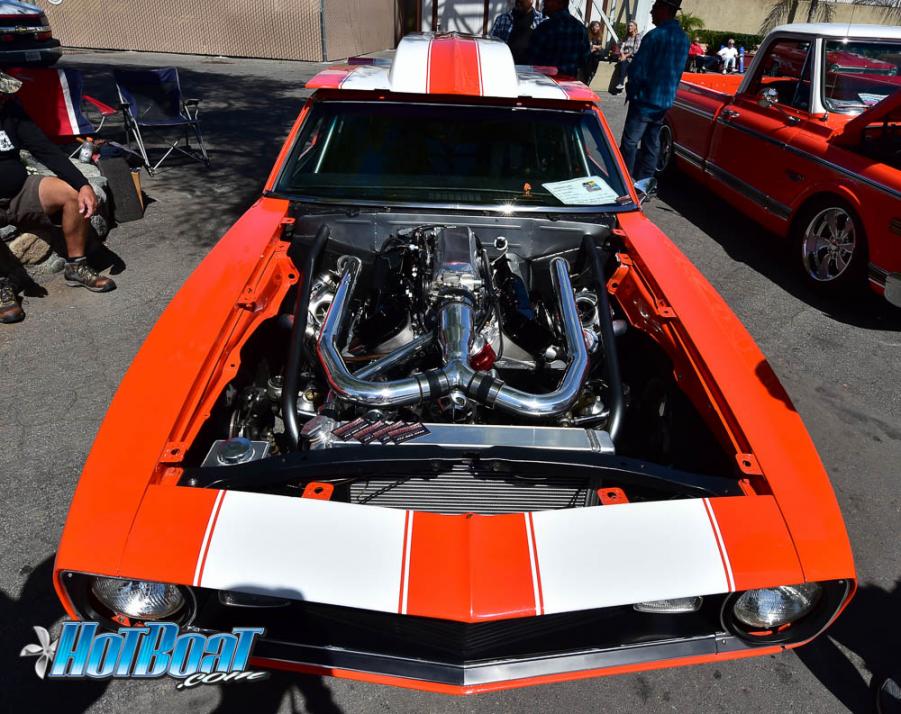 Name:  DSC_6193.jpg
Views: 138
Size:  115.6 KB