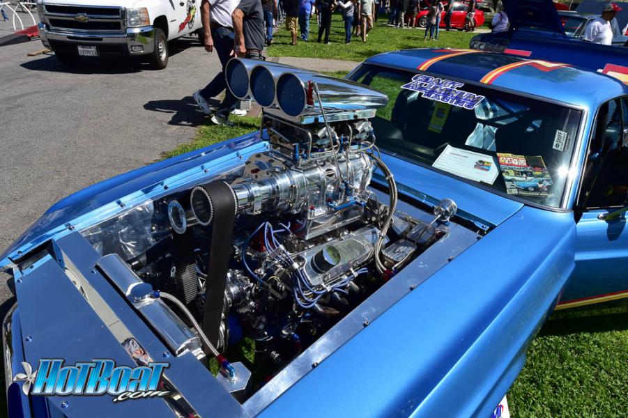Name:  DSC_6198.jpg
Views: 140
Size:  115.0 KB