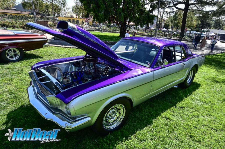Name:  DSC_6203.jpg
Views: 137
Size:  153.4 KB