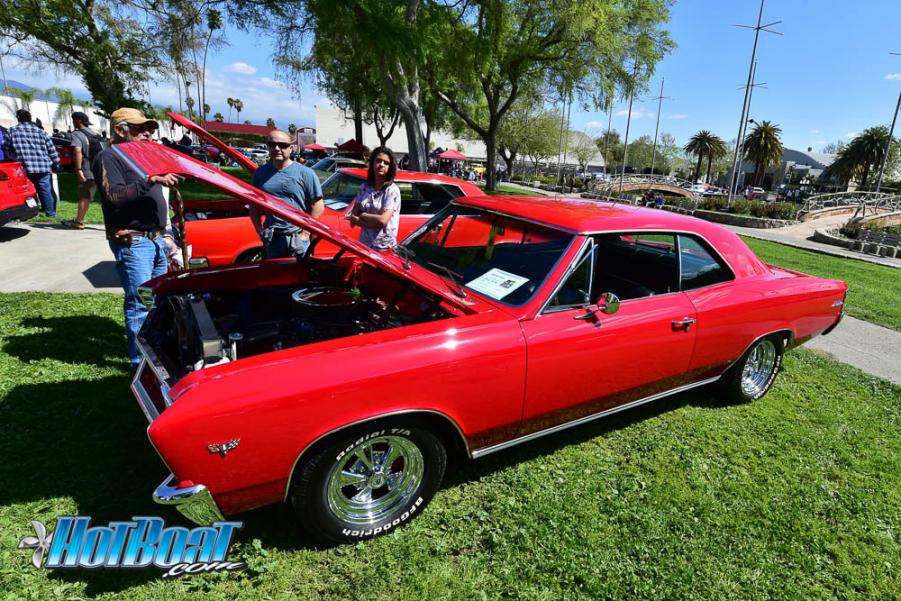 Name:  DSC_6205.jpg
Views: 132
Size:  139.0 KB