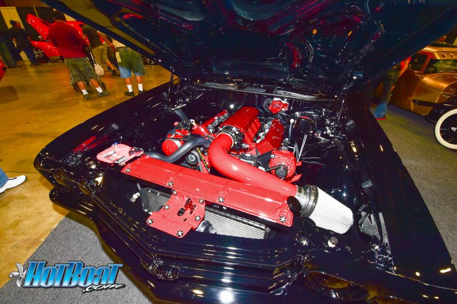 Name:  DSC_6287.jpg
Views: 137
Size:  102.7 KB