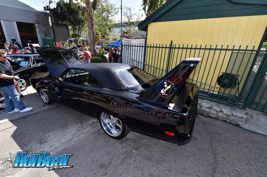 Name:  DSC_6316.jpg
Views: 138
Size:  111.0 KB