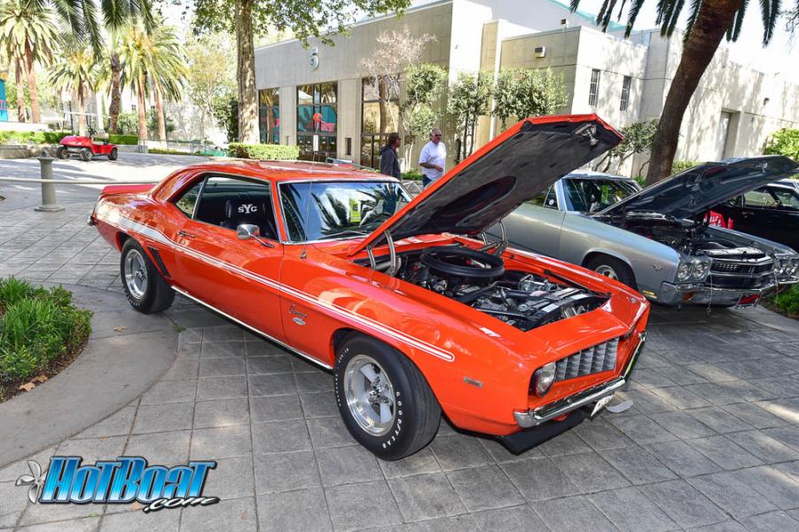 Name:  DSC_6345.jpg
Views: 118
Size:  126.2 KB