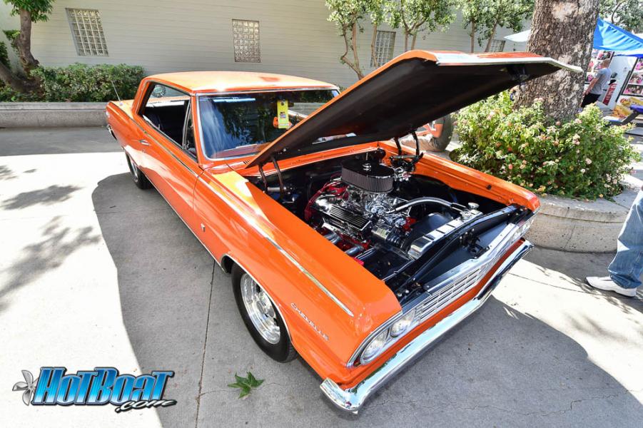 Name:  DSC_6355.jpg
Views: 132
Size:  114.5 KB