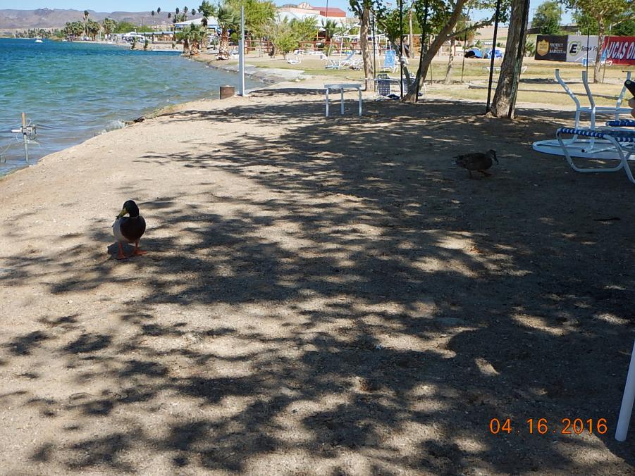 Name:  DSCN9978.jpg
Views: 821
Size:  141.3 KB