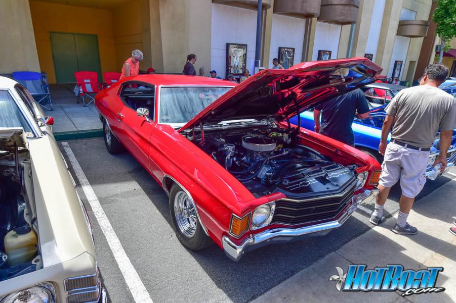 Name:  DSC_6683.jpg
Views: 417
Size:  101.7 KB