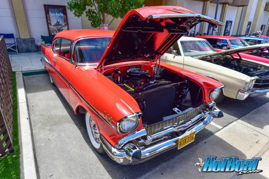 Name:  DSC_6684.jpg
Views: 386
Size:  111.9 KB