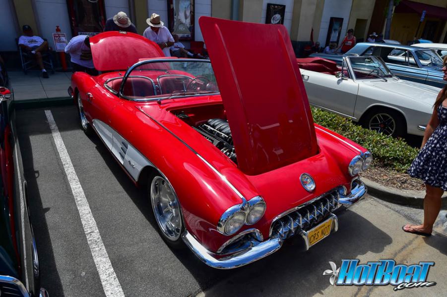 Name:  DSC_6687.jpg
Views: 401
Size:  95.1 KB