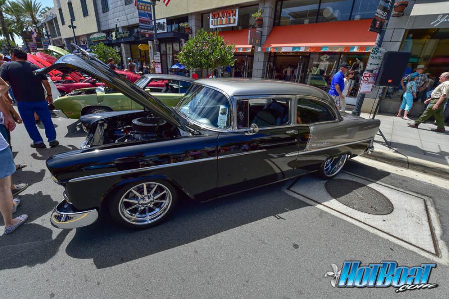 Name:  DSC_6710.jpg
Views: 379
Size:  109.7 KB