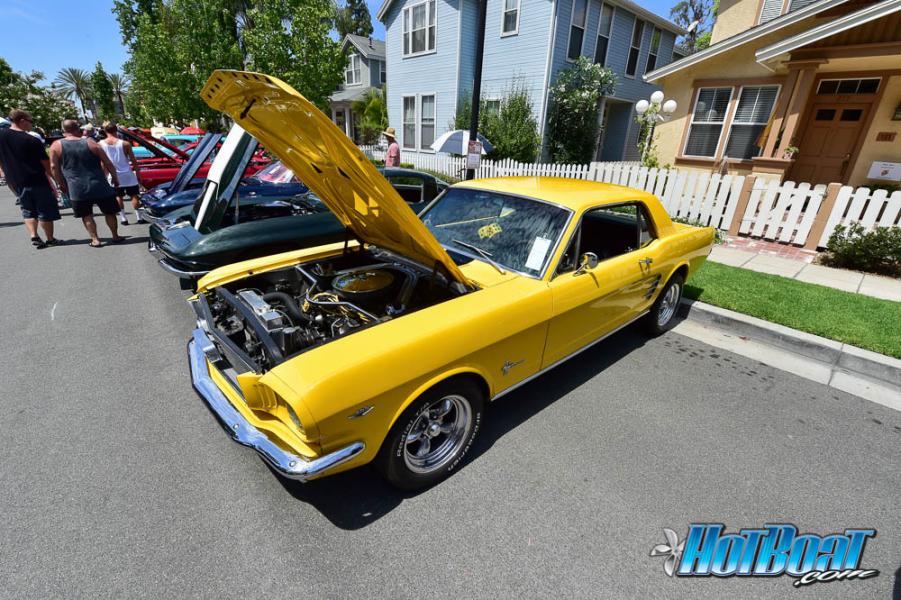 Name:  DSC_6768.jpg
Views: 378
Size:  121.8 KB