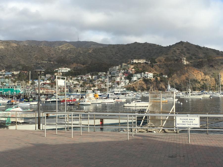 Name: IMG_1167.jpg
Views: 325
Size: 99.3 KB