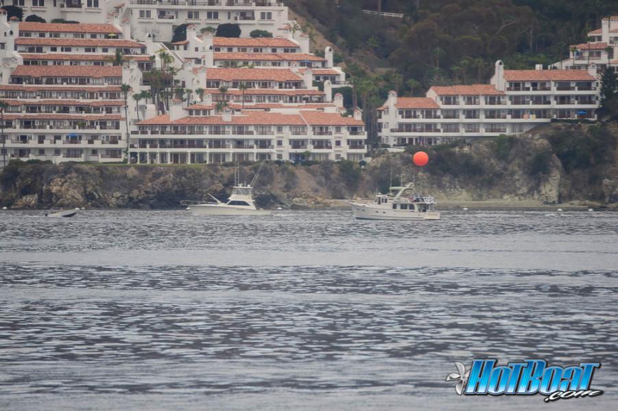 Name:  DSC_3961.jpg
Views: 130
Size:  102.1 KB