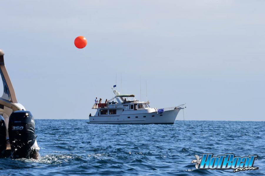 Name:  DSC_3977.jpg
Views: 133
Size:  53.4 KB