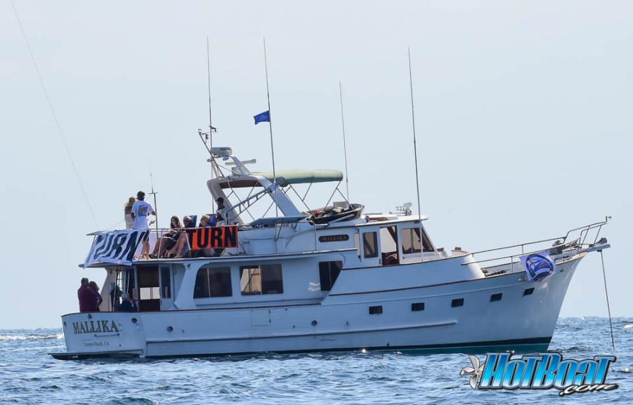 Name:  DSC_3981.jpg
Views: 137
Size:  56.9 KB