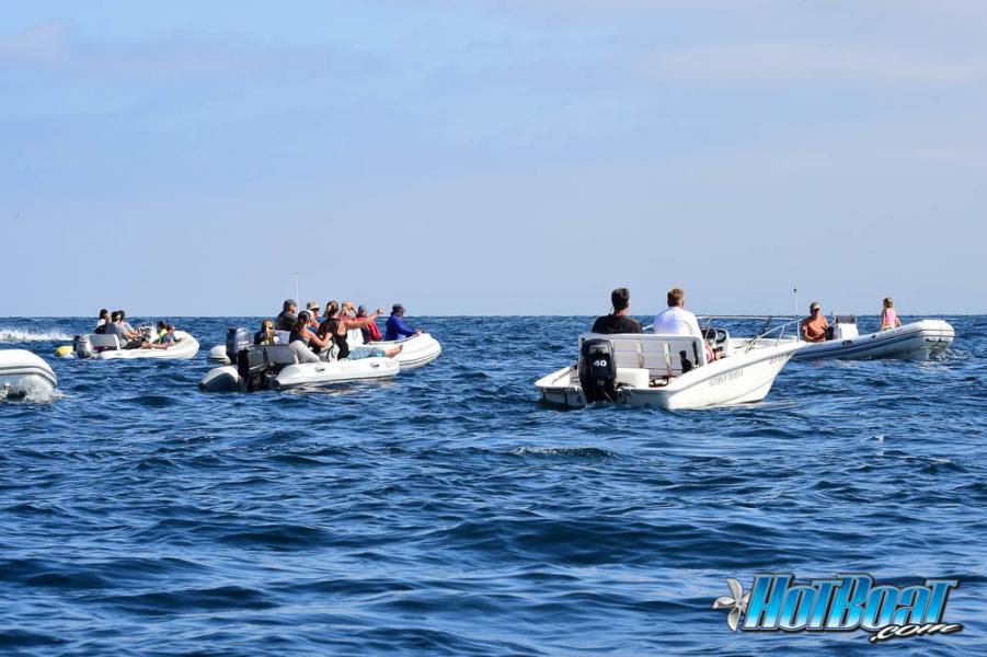 Name:  DSC_3983.jpg
Views: 126
Size:  75.7 KB