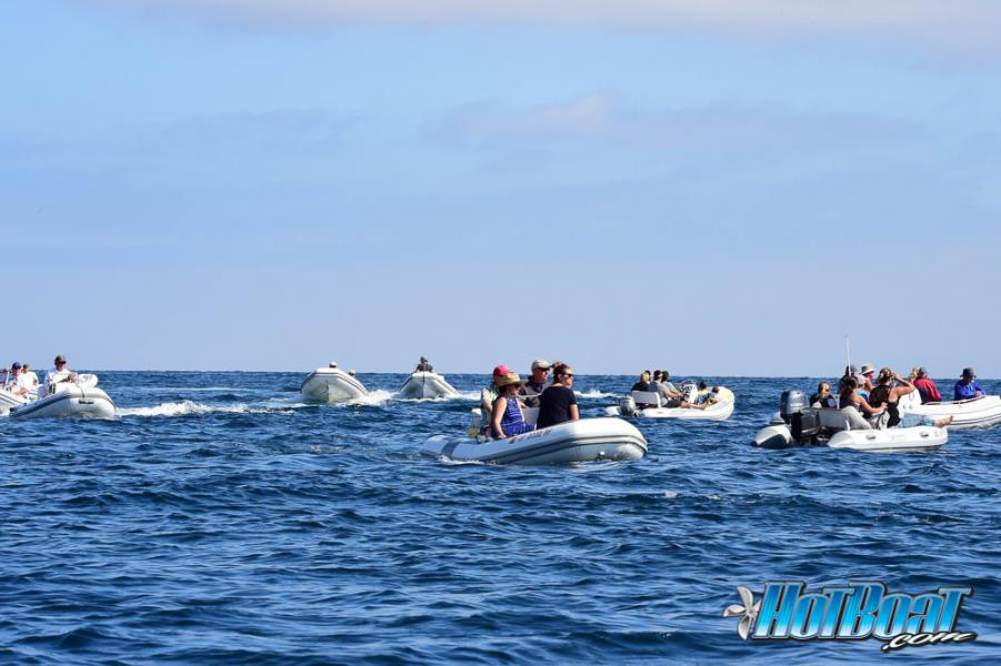 Name:  DSC_3984.jpg
Views: 131
Size:  69.5 KB