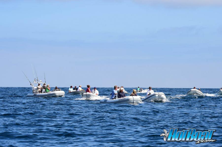 Name:  DSC_3985.jpg
Views: 136
Size:  65.0 KB