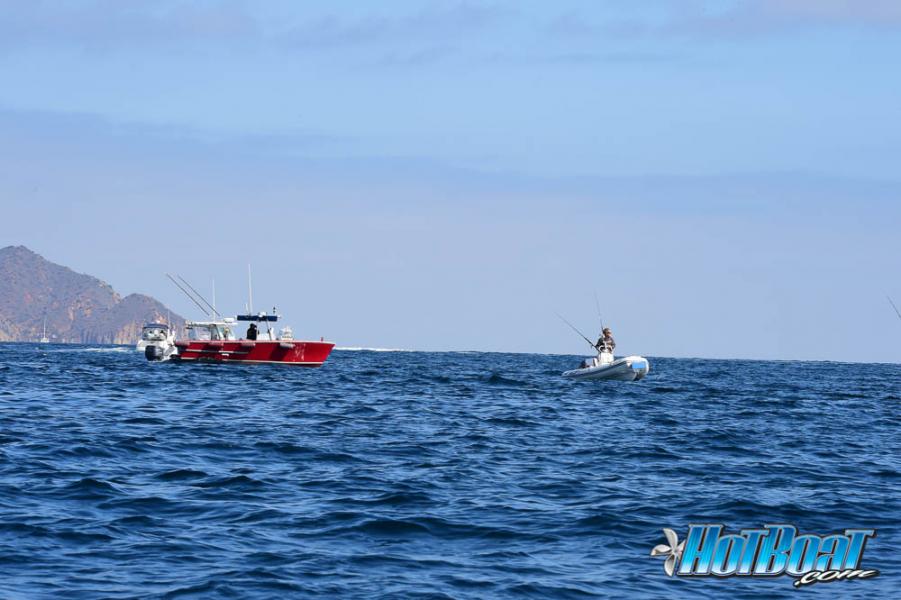 Name:  DSC_3986.jpg
Views: 140
Size:  64.5 KB