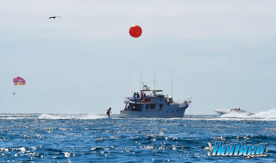 Name:  DSC_4287.jpg
Views: 126
Size:  57.6 KB