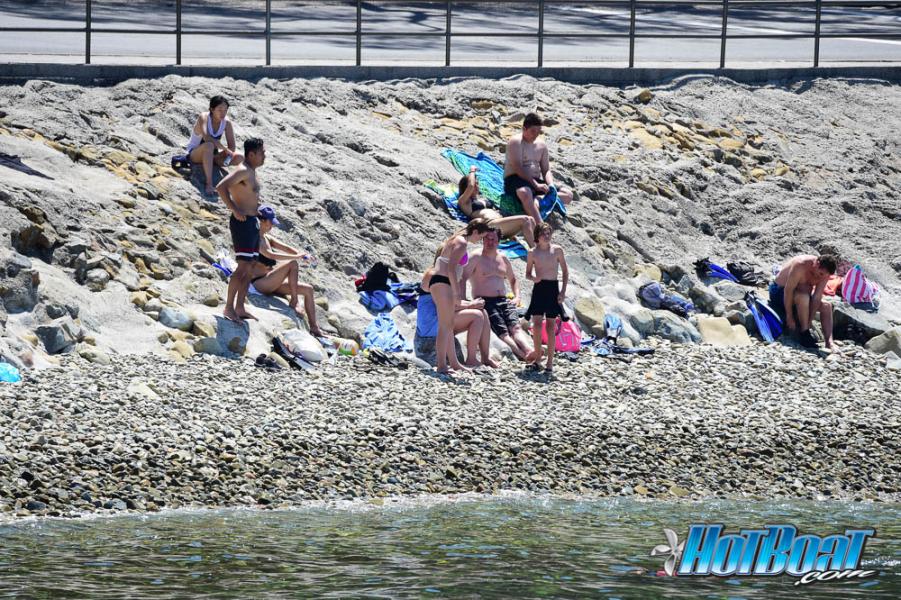 Name:  DSC_4339.jpg
Views: 141
Size:  172.2 KB