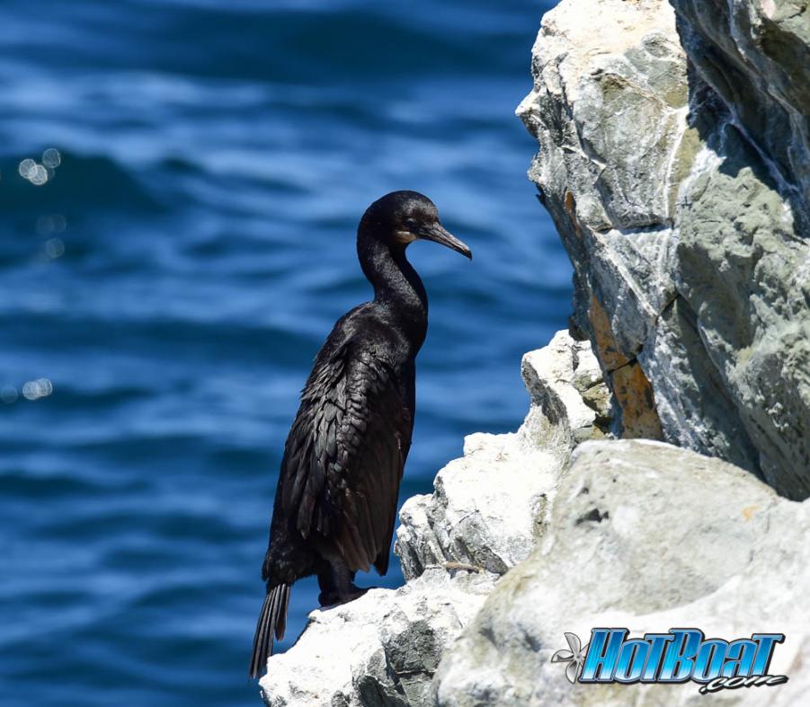 Name:  DSC_4349.jpg
Views: 126
Size:  94.2 KB