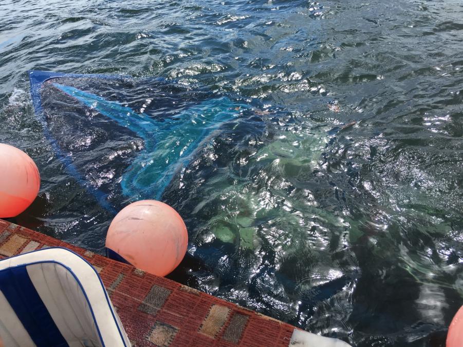 Name: IMG_1810.jpg
Views: 350
Size: 145.5 KB