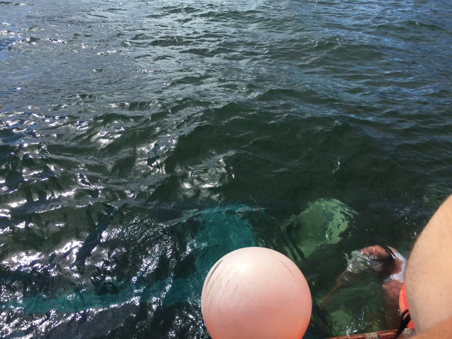 Name: IMG_1811.jpg
Views: 316
Size: 108.6 KB