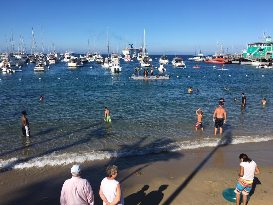 Name: IMG_1867.jpg
Views: 185
Size: 98.0 KB