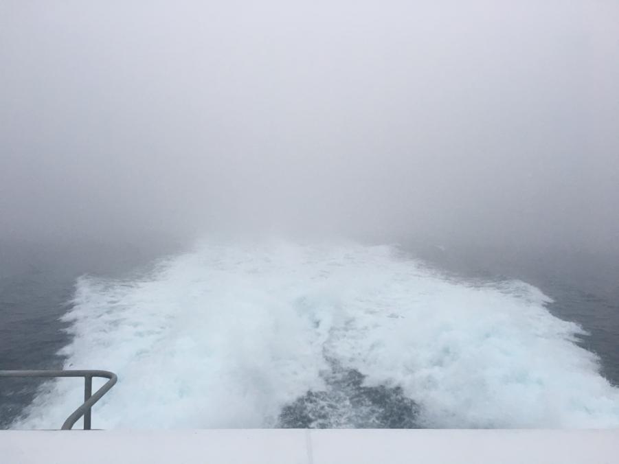 Name: IMG_2341.jpg
Views: 168
Size: 27.1 KB