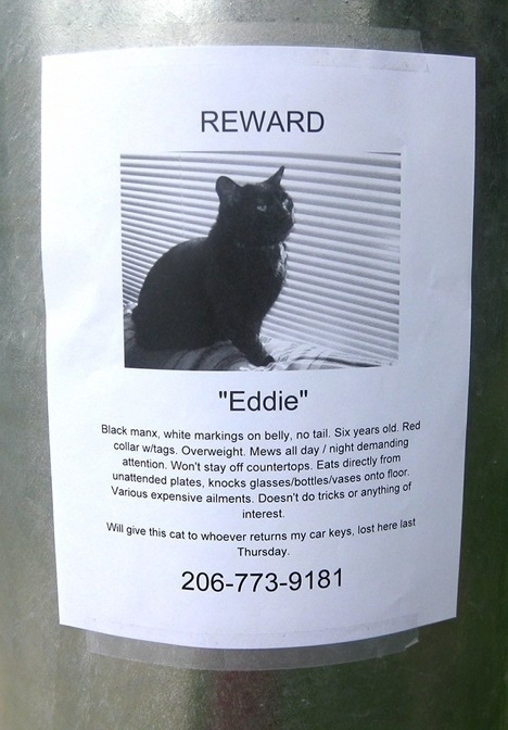 Name:  Eddie.jpg
Views: 254
Size:  113.8 KB