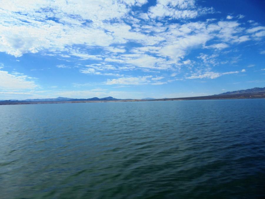 Name:  DSC03761.jpg
Views: 196
Size:  67.3 KB