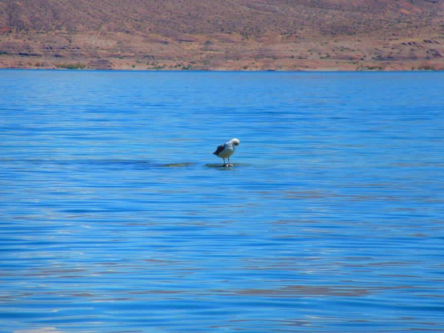 Name:  IMG_0284.jpg
Views: 195
Size:  87.1 KB