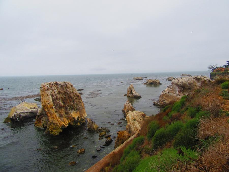 Name:  IMG_0299.jpg
Views: 323
Size:  70.6 KB