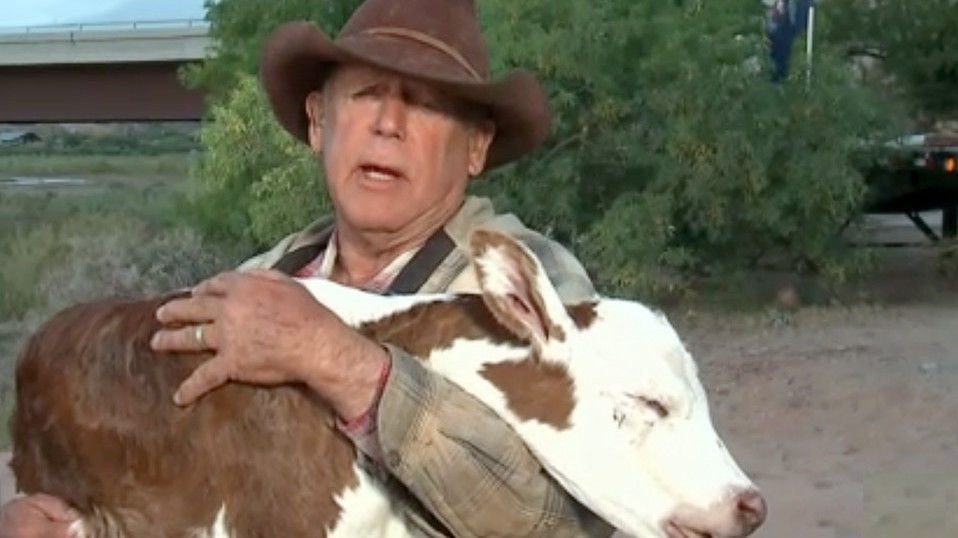 Name:  real cowboyBundyPoster1522491914.jpg
Views: 192
Size:  117.0 KB