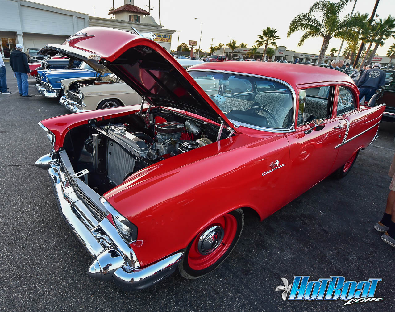 Name:  DSC_7653.jpg
Views: 657
Size:  382.2 KB