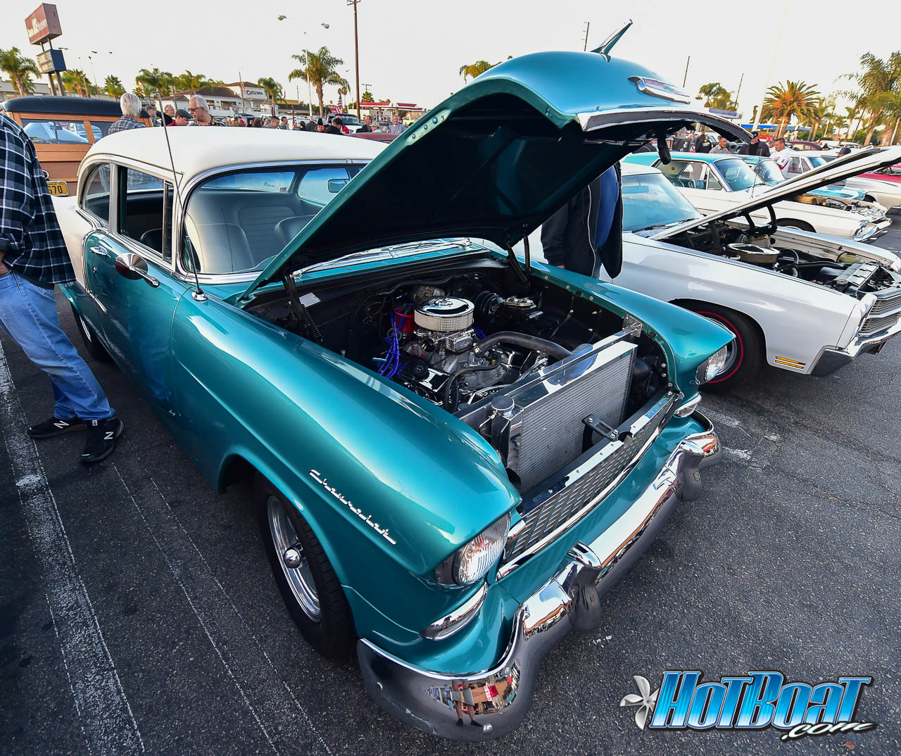 Name:  DSC_7664.jpg
Views: 646
Size:  415.7 KB