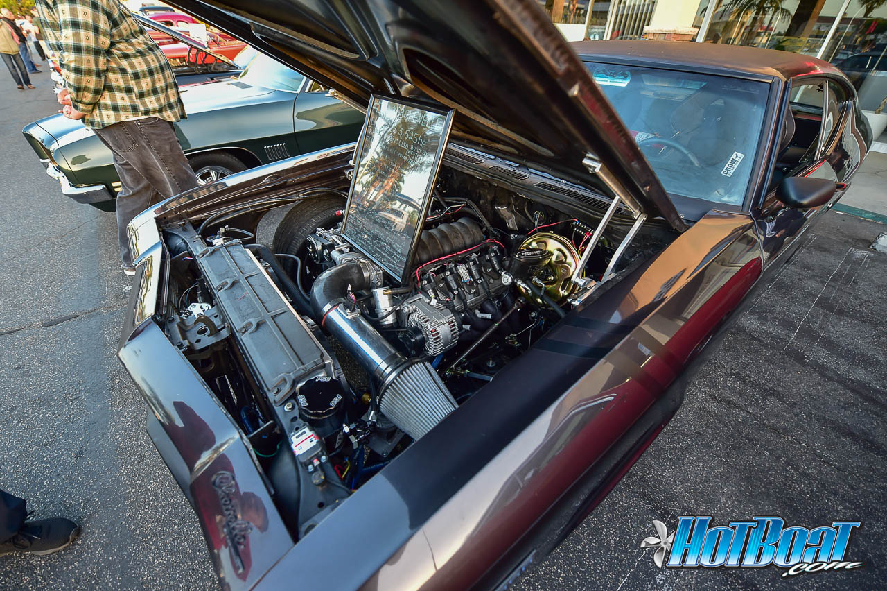 Name:  DSC_7679.jpg
Views: 641
Size:  348.9 KB