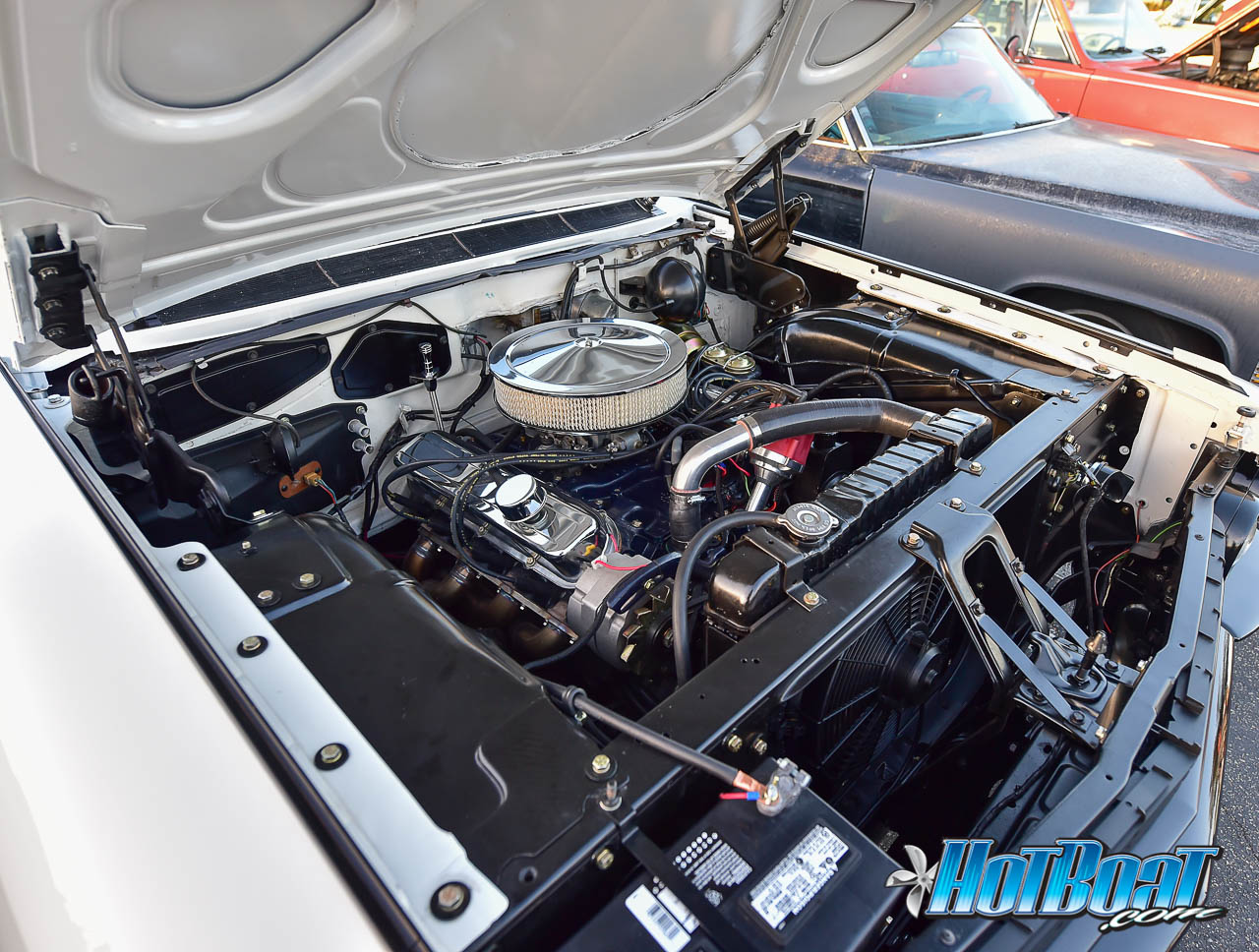 Name:  DSC_7710.jpg
Views: 622
Size:  299.5 KB