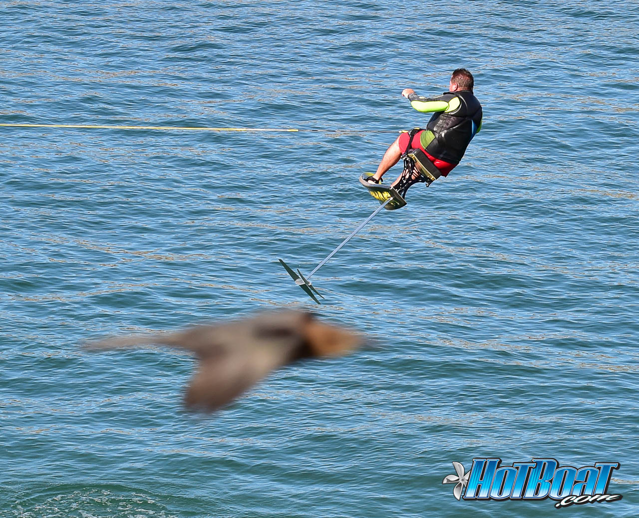 Name:  DSC_8309.jpg
Views: 455
Size:  409.2 KB