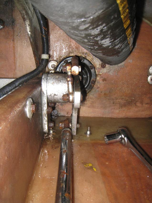 IMG 0680 1