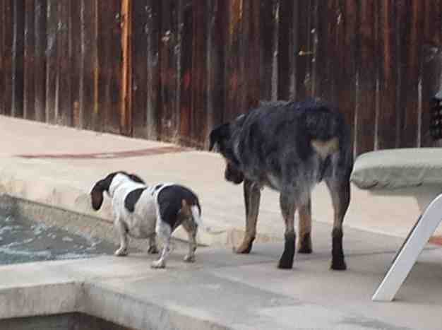 Name:  ImageUploadedByTapatalk1351903298.646326.jpg
Views: 171
Size:  32.3 KB