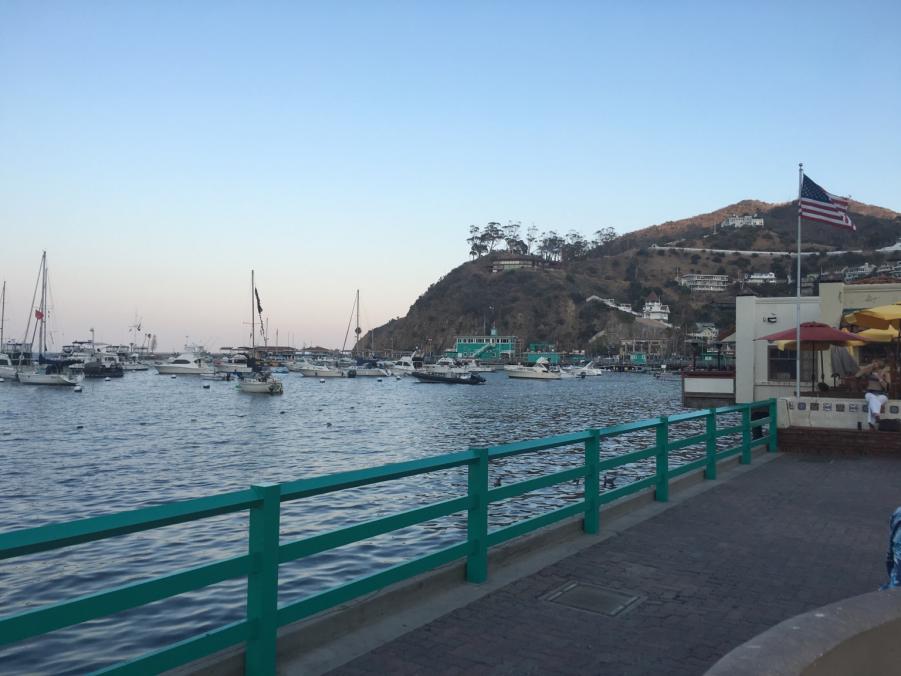 Name: IMG_2035.jpg
Views: 245
Size: 68.0 KB