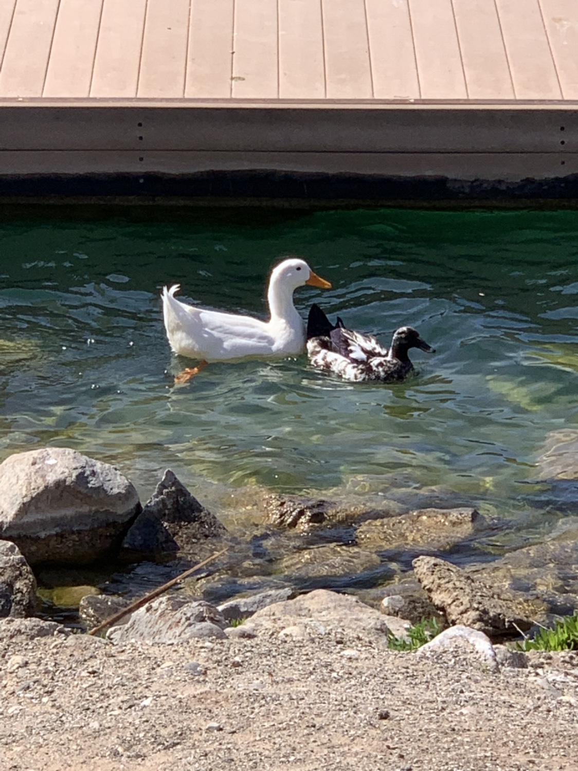 Name: IMG_6889.jpg
Views: 528
Size: 550.7 KB