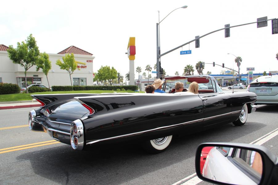 Name: IMG_1946small.jpg
Views: 265
Size: 75.8 KB